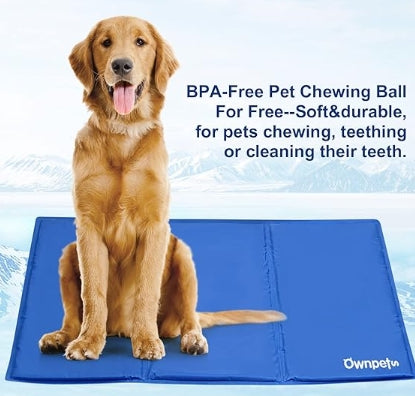 Cooling pet mat
