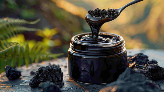 SHILAJIT - Transforma tu salud - PROMOCION POR TIEMPO LIMITADO